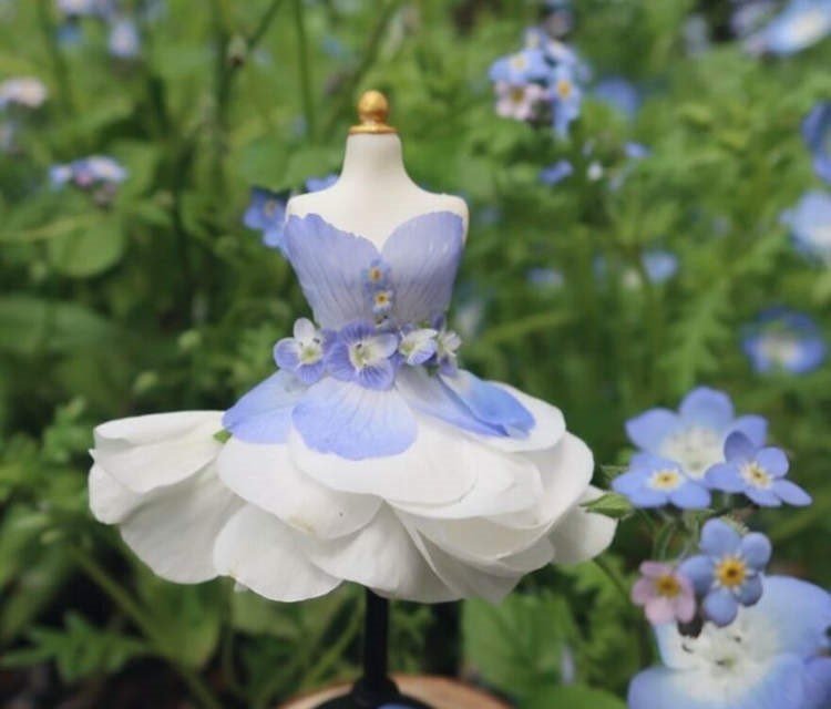 Artist uses flower petals to create intricate fairy dresses