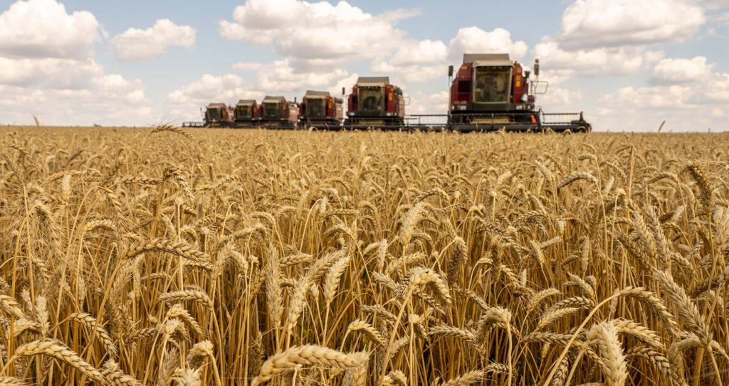 Extra wheat import caused over $1 billion loss: Food Minister