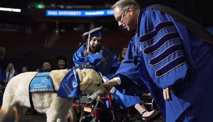 WATCH: Dog gets honorary diploma