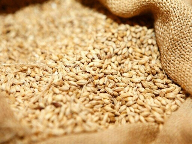 Punjab sets wheat support price at Rs3,900 per 40kg