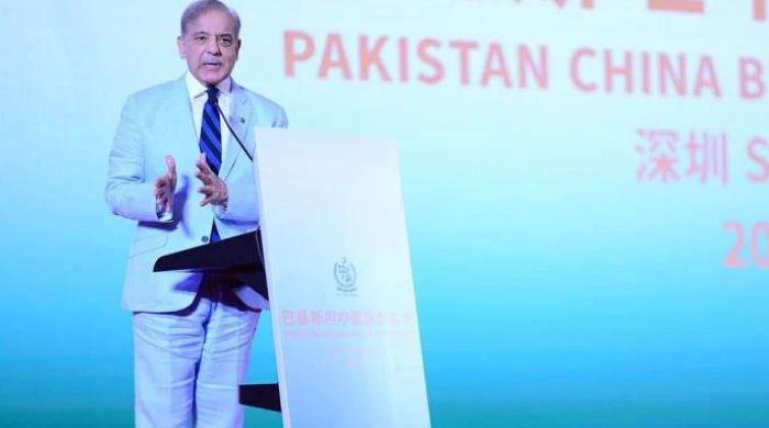 PM Shehbaz guarantees security to Chinese investment