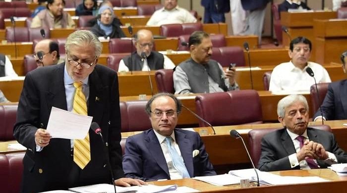 Pakistan to pass resolution against US House demand, says Ishaq Dar